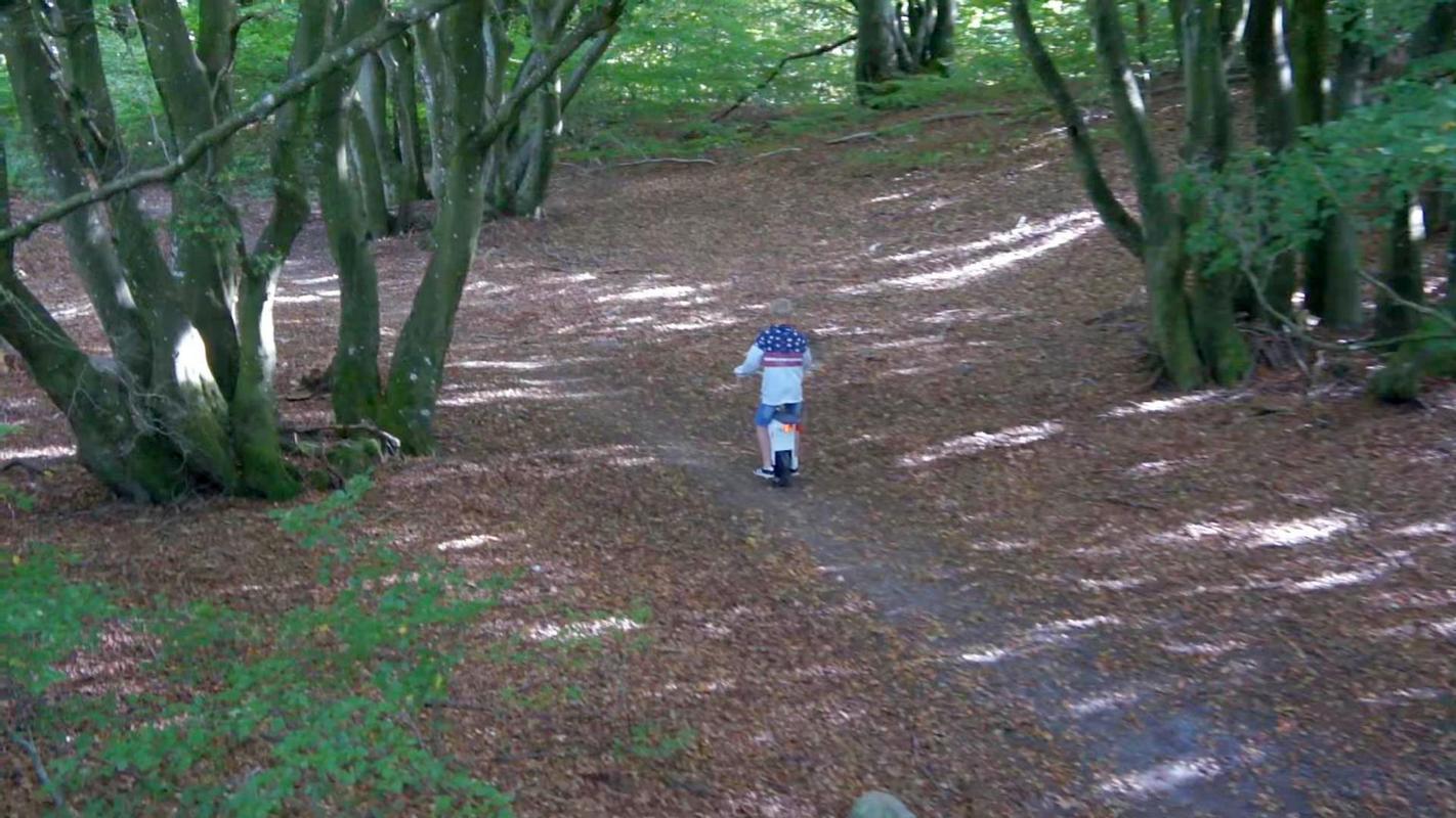 Моноколесо с рулем по лесу