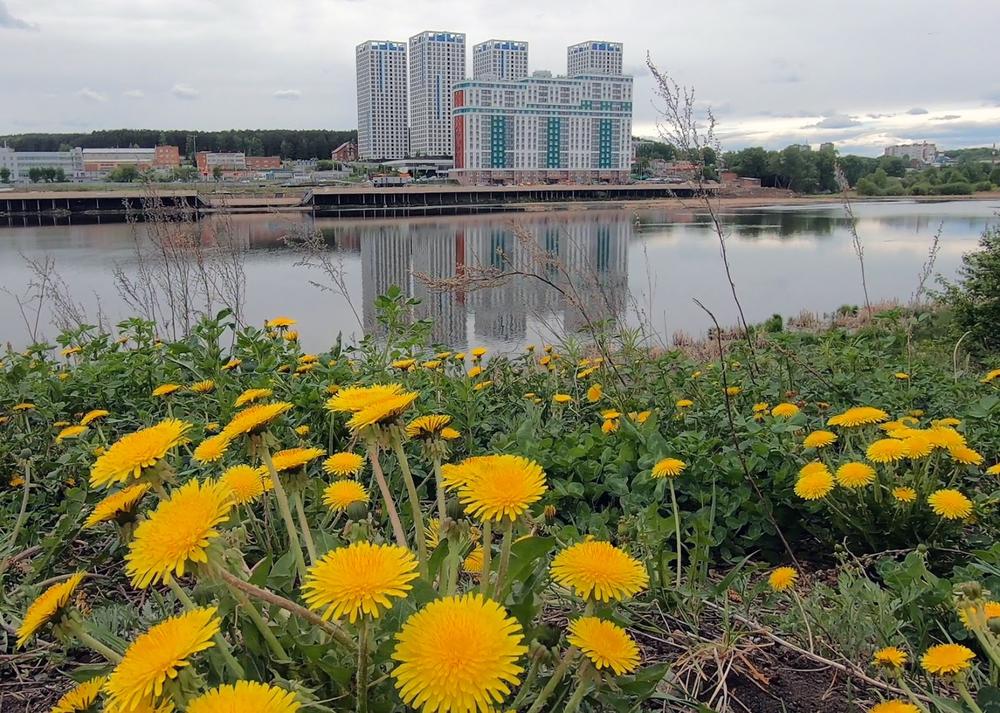 Нижне-Исетский пруд