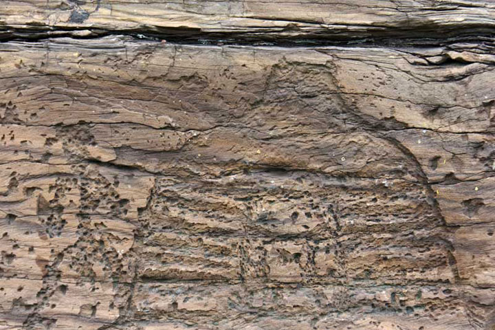 Рисунок древнего жилища в камне