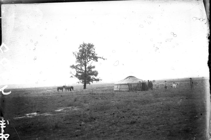 Старинное фото юрты в поле