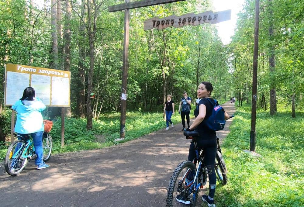 Тропа здоровья