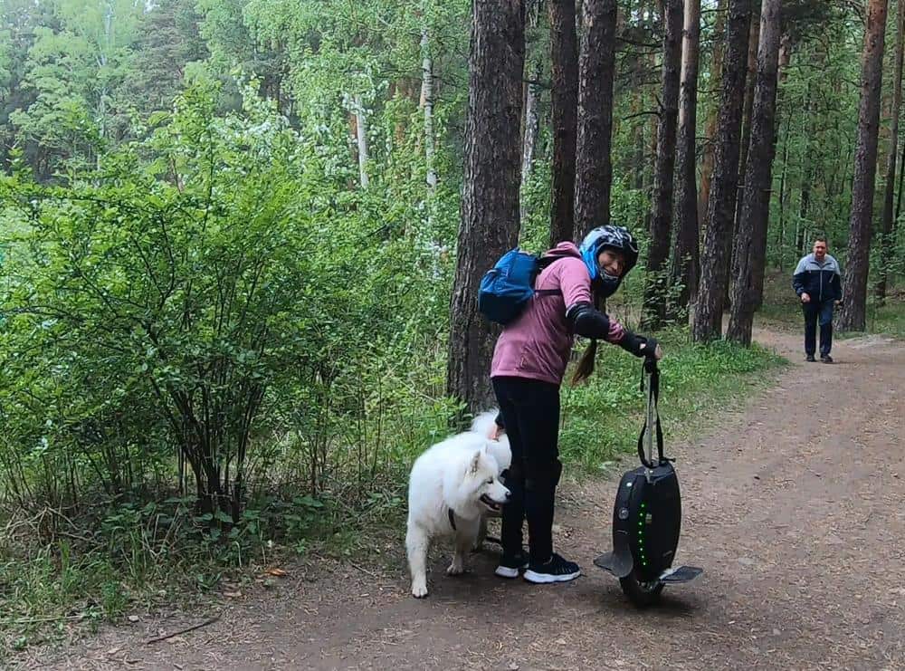 в Калиновском лесопарке