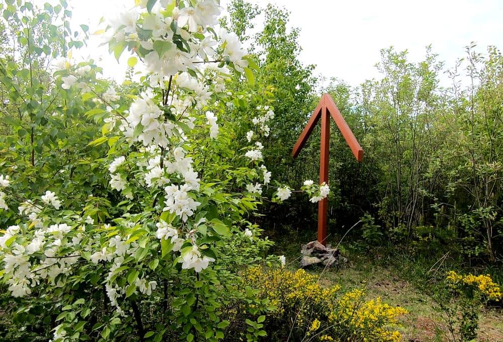 Высшая точка Уктусских гор