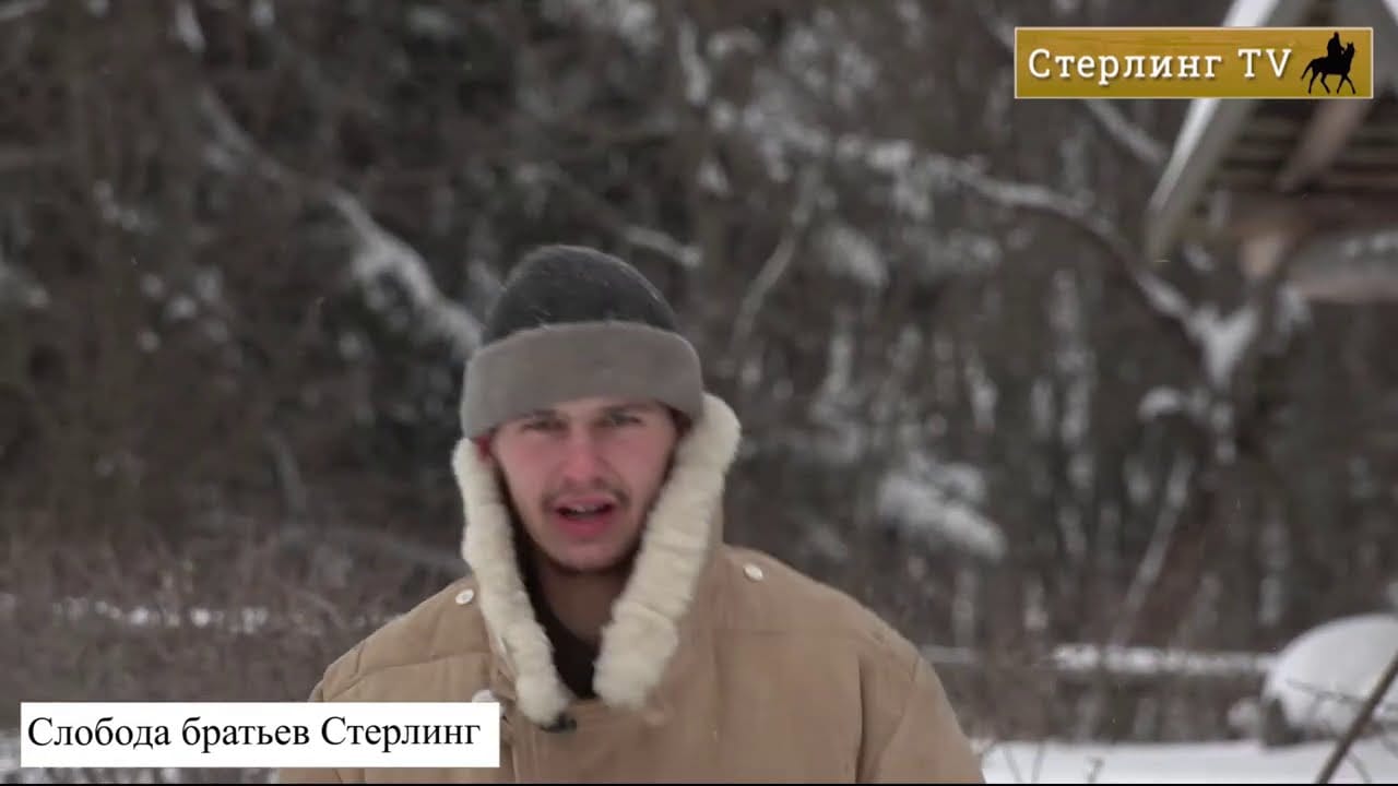 ИПН от 16февраля 2029 от В.Х. Роботы против людей, 146 млрд для распила, новая Крестьянская Слобода