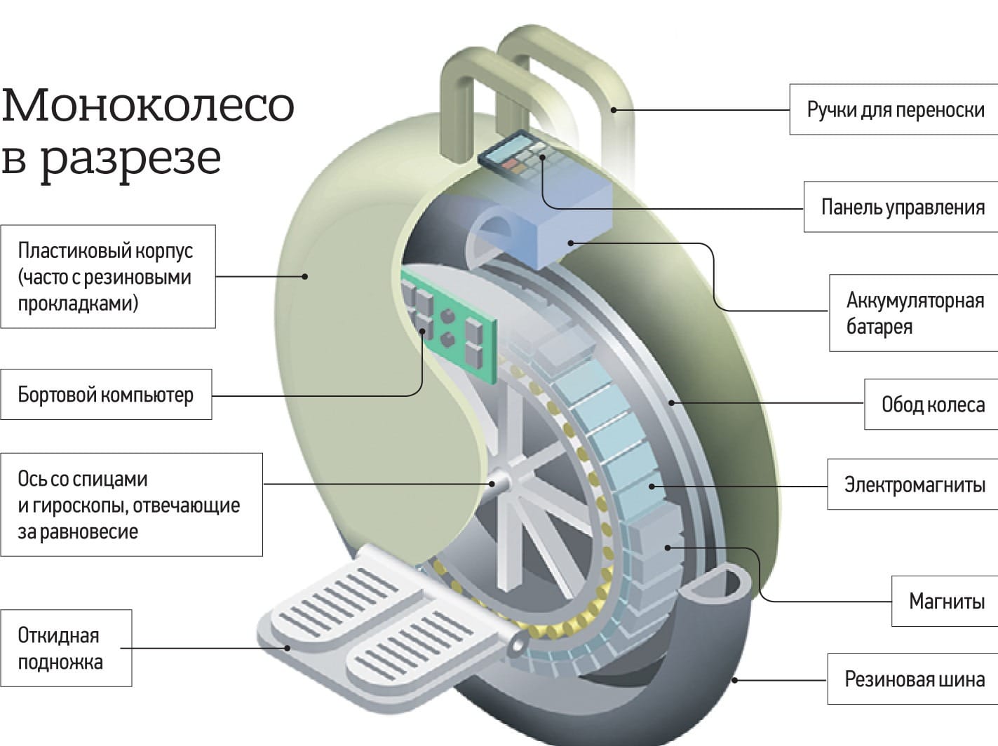 Моноколесо в разрезе