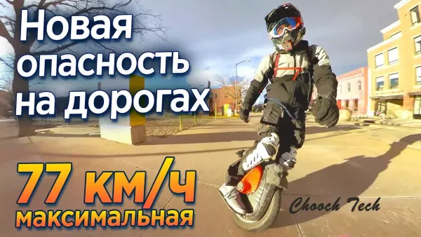 Его сбивали машины