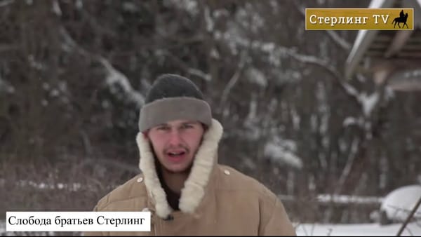 ИПН от 16февраля 2029 от В.Х. Роботы против людей, 146 млрд для распила, новая Крестьянская Слобода