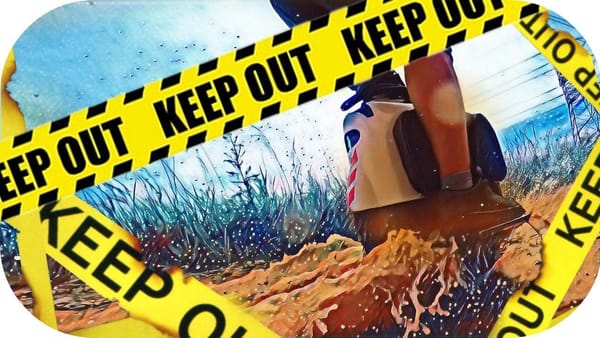 Моноколесо покатушки по бездорожью в Ленинградской области