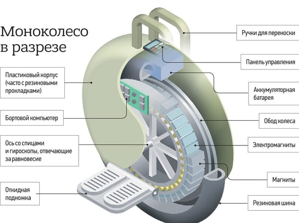 Моноколесо в разрезе